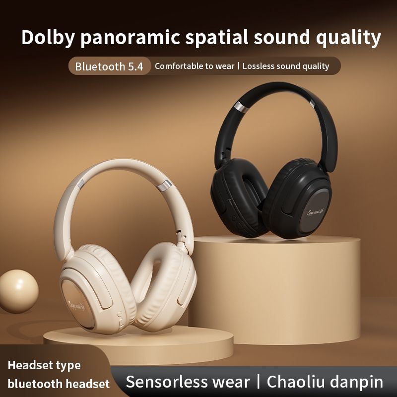 BH900 Noise Reduction Bluetooth Earphone
