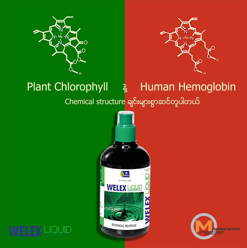 Welex Liquid Chlorophyll