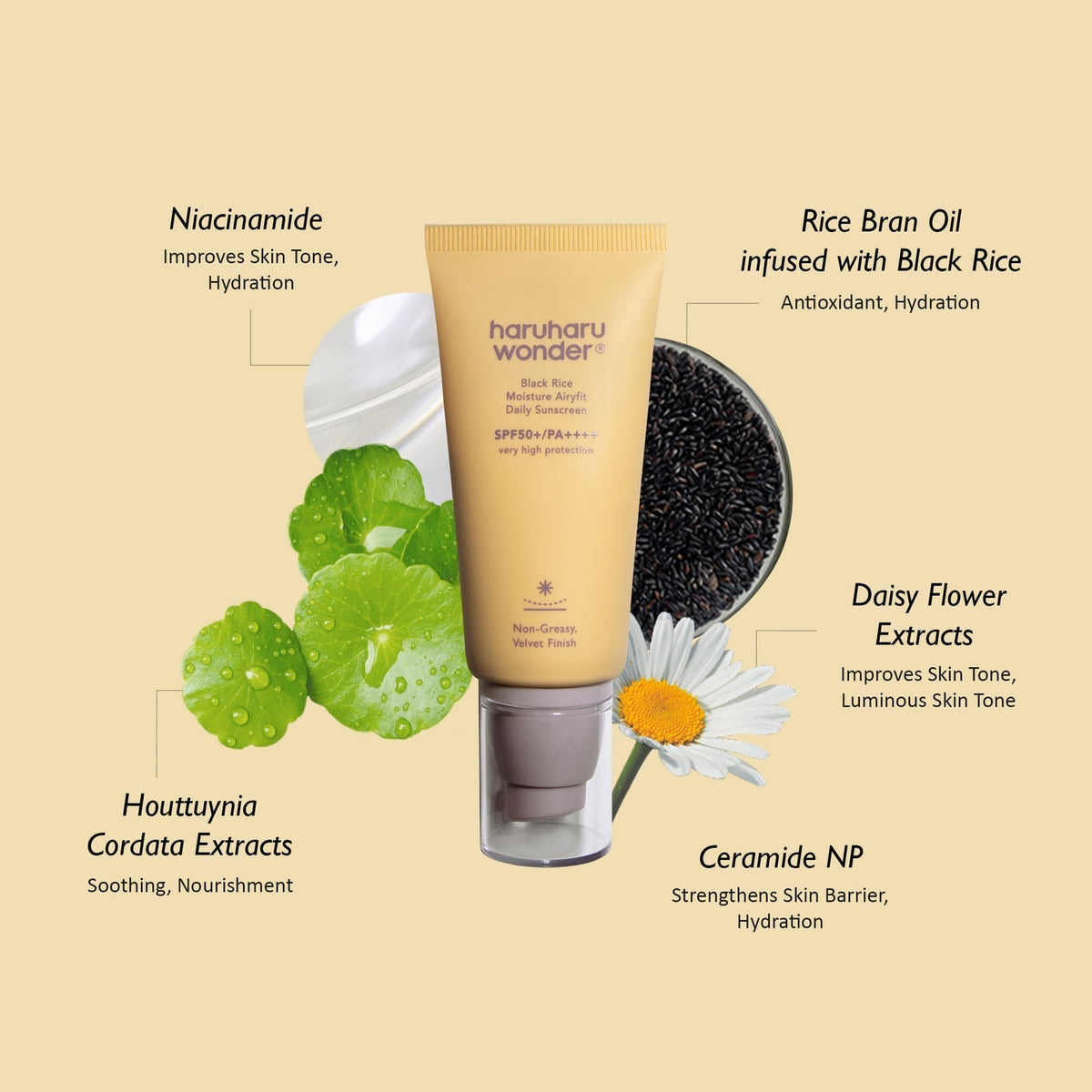 Haruharu wonder Black Rice Moisture Airyfit Daily ,Sunscreen SPF50+/PA++++