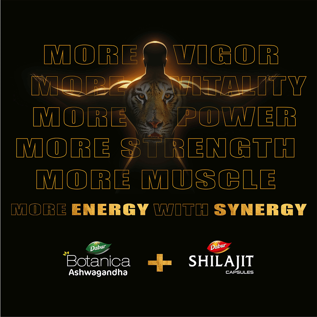 Dabur Energy & Stamina Booster Pack, One month supply