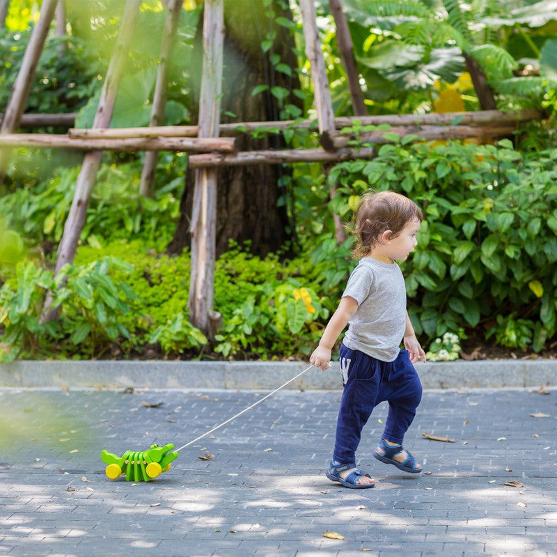 PlanToys Dancing Alligator