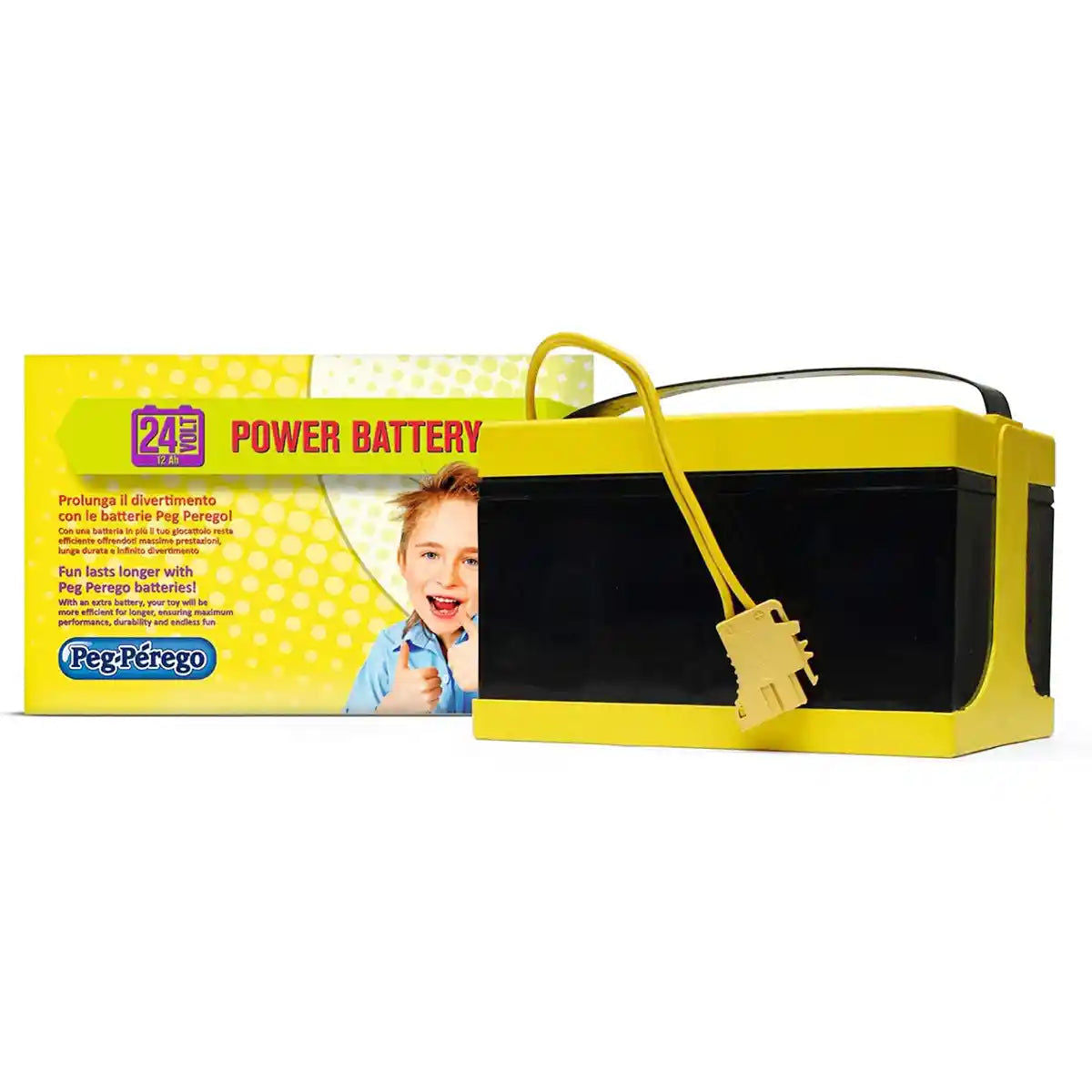 BATTERY 24V. 12 A