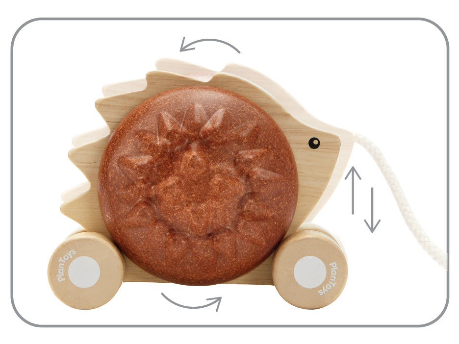 PlanToys Pull - Along Hedgehog - Brown