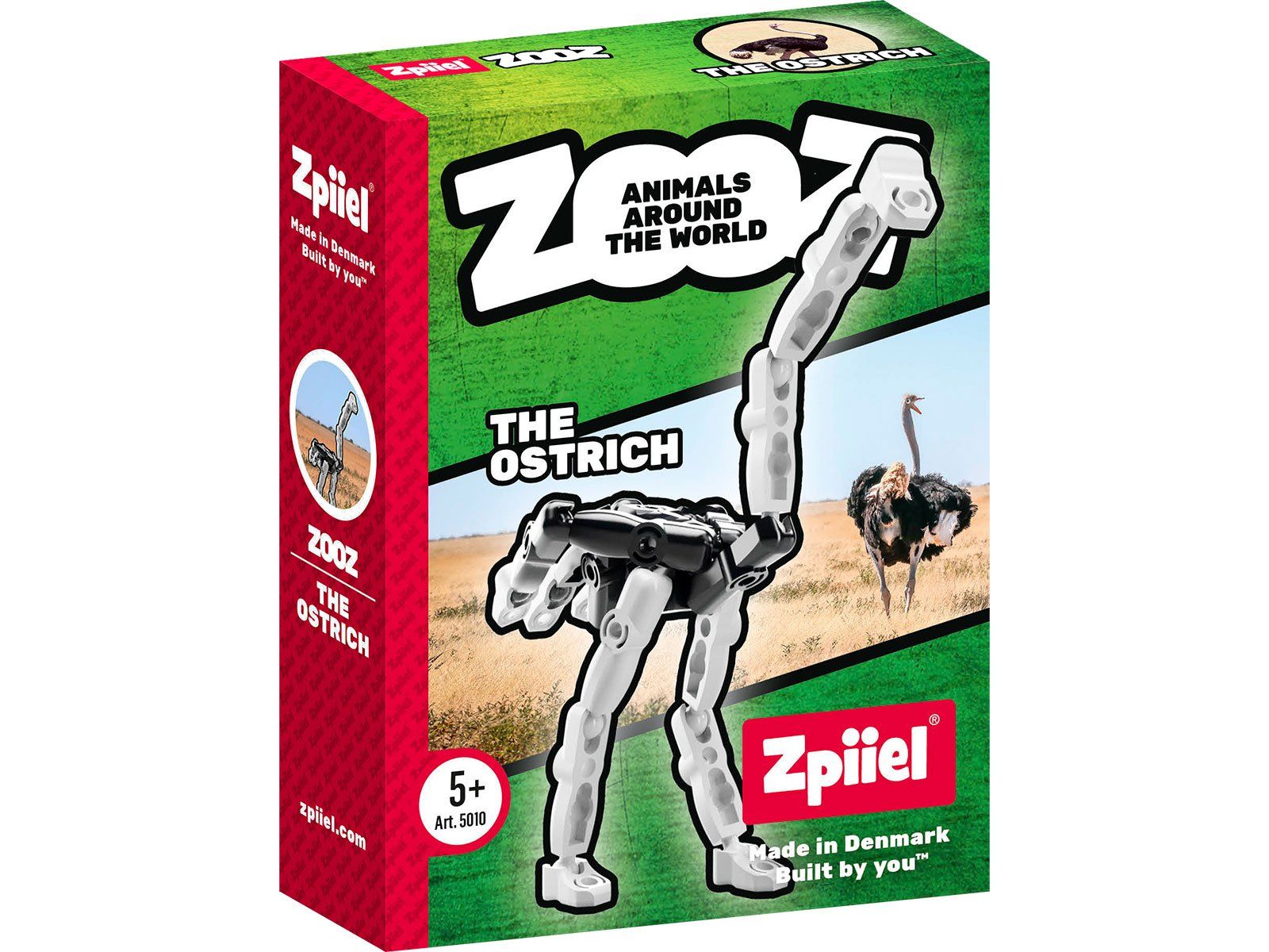 ZooZ - The Ostrich