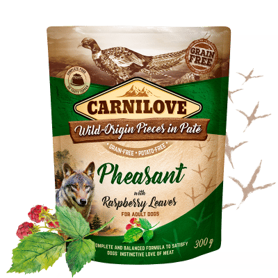 Carnilove Pheasant with Raspberry Leaves for adult Dogs  300g (wet food pouches)