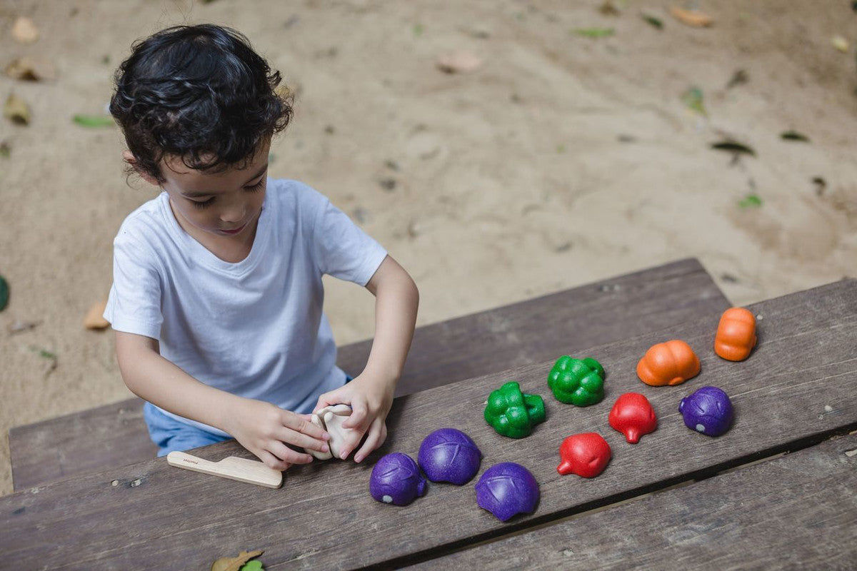 PlanToys 5 Colors Veggie Set — Wooden Pretend Play Food