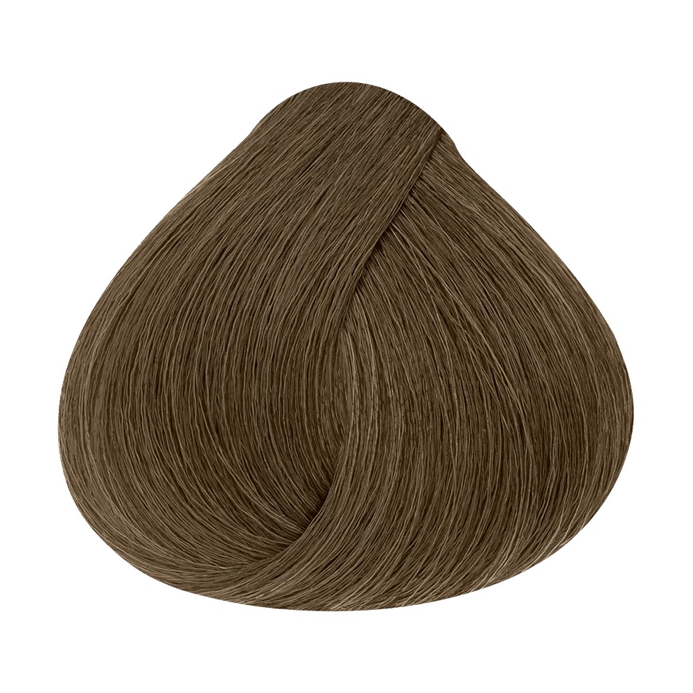 Alfaparf Evolution long-lasting permanent cosmetic color - Intense Naturals - 8NI Intense Light Blonde