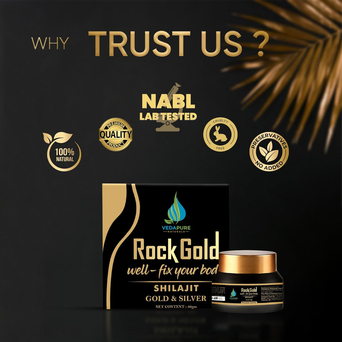 Vedapure ROCK GOLD Pure Ayurvedic Shilajit Resin 30G