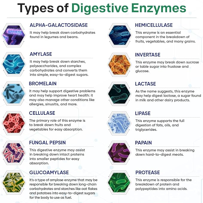Wholesome Wellness Digestive Enzymes 1000MG With Probiotics & Prebiotics 180 Capsules