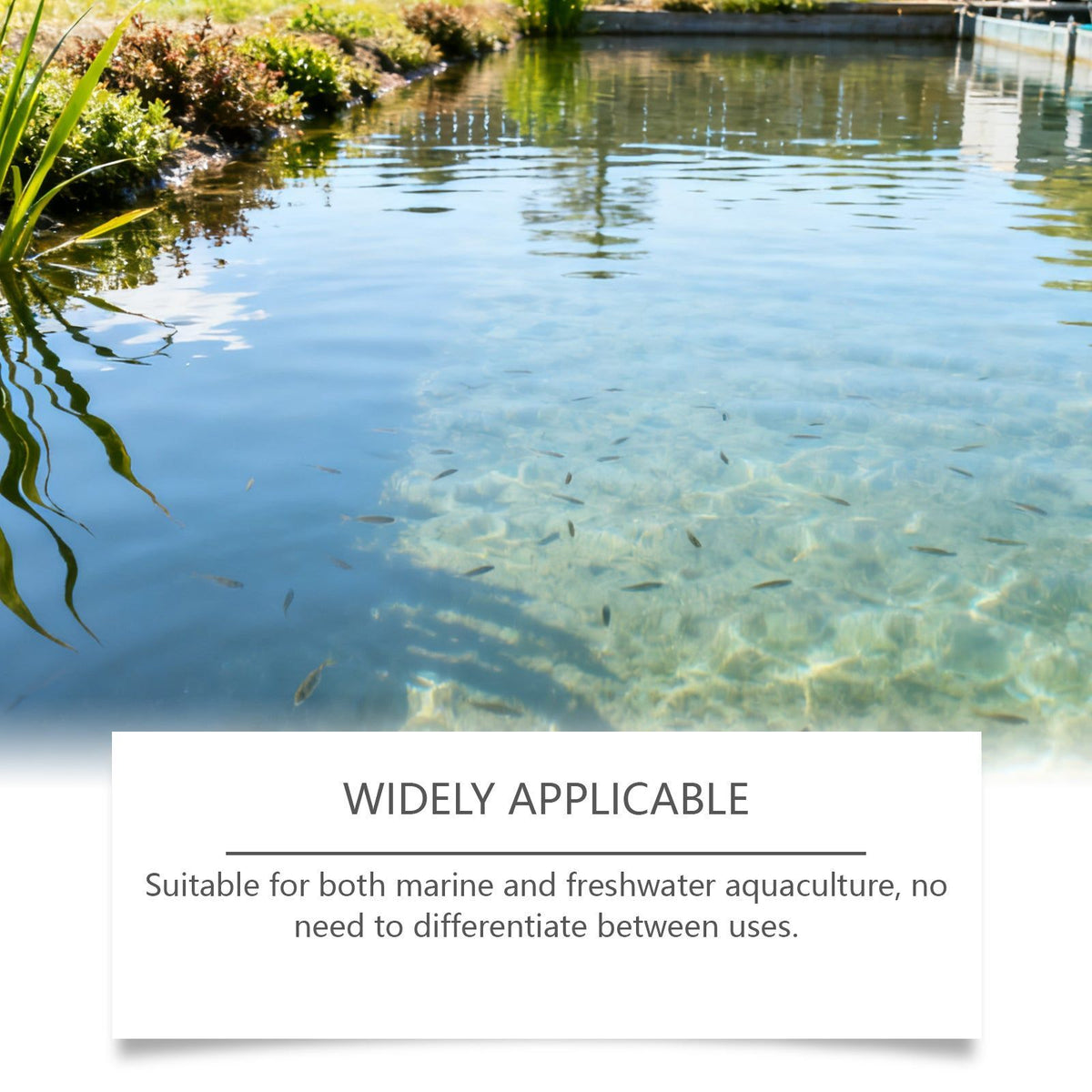 Clarifying Powder, Water Purifier for Fish Tanks, Eco-Friendly, Long-Lasting Clear Water ,100g