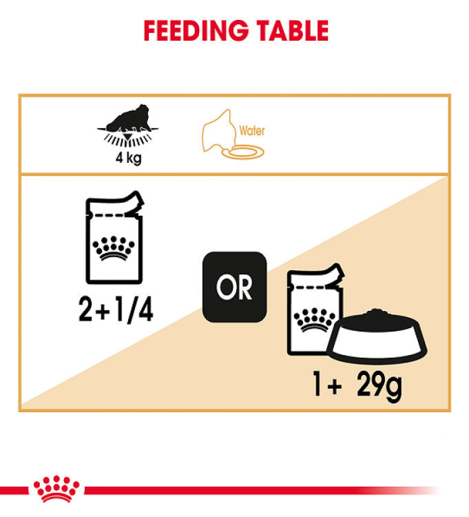 Royal Canin Feline Breed Nutrition Persian - 12 Wet Food Pouches