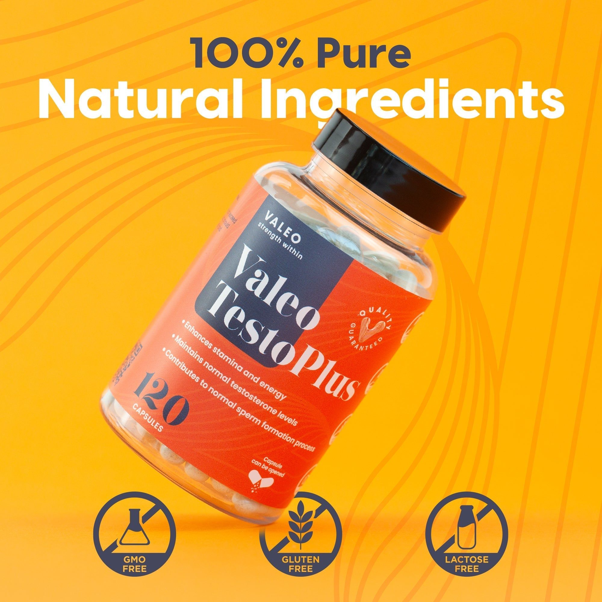 Valeo Shilajit + Testo 120 + Tribulus 60