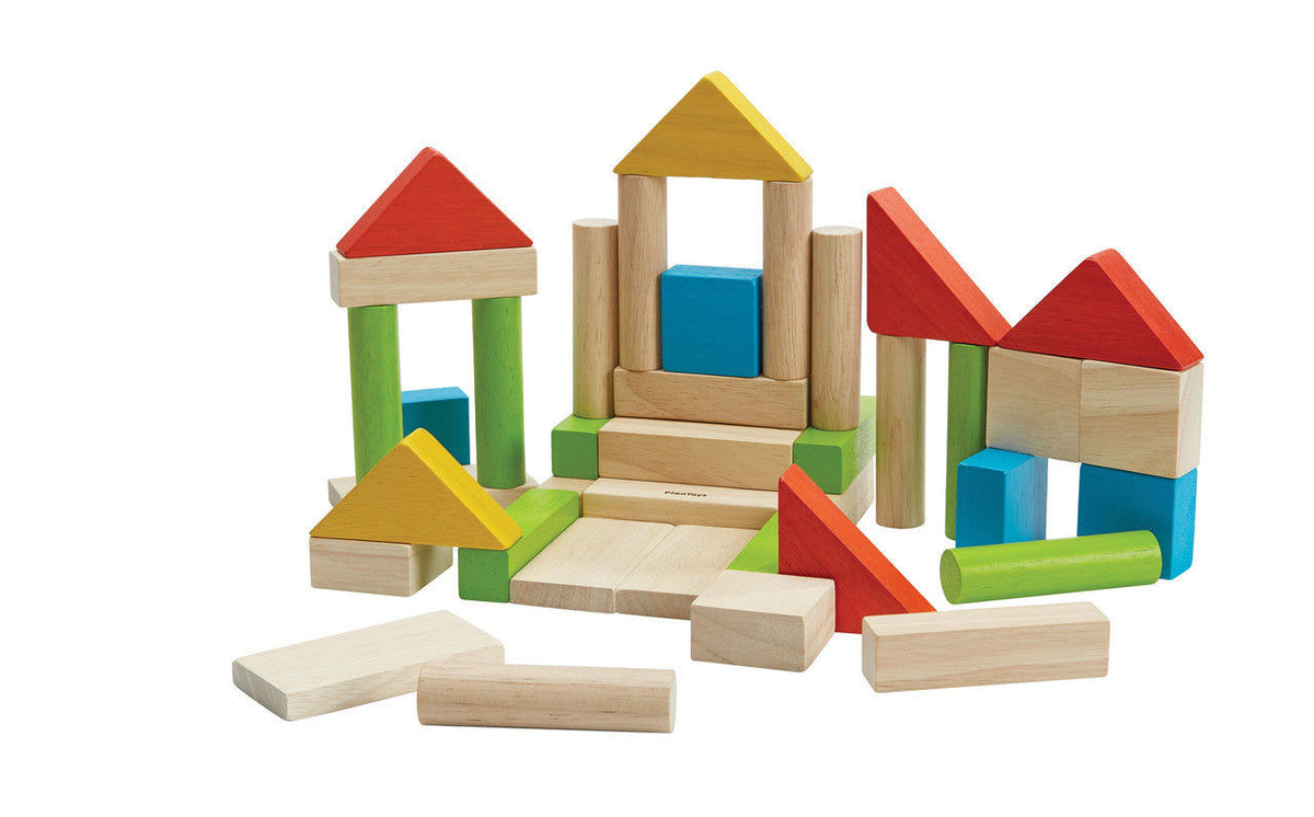 PlanToys Colorful 40 Unit Blocks