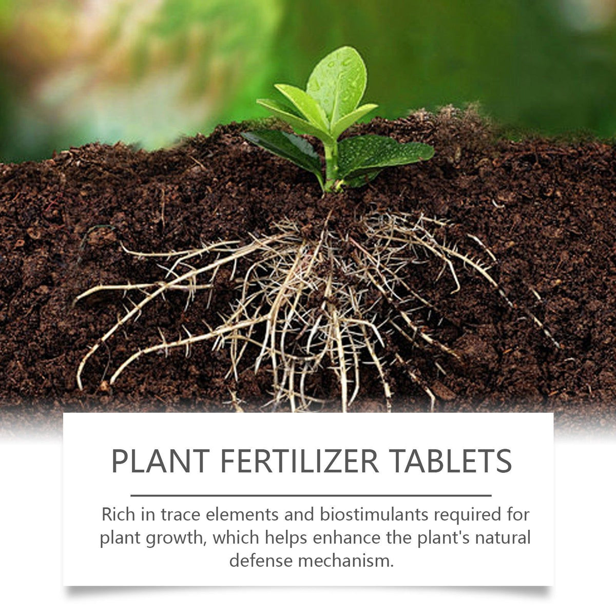 Boost Plant Growth with Organic Effervescent Tablets, Fast-Acting Plant Nutrition ,22 pieces