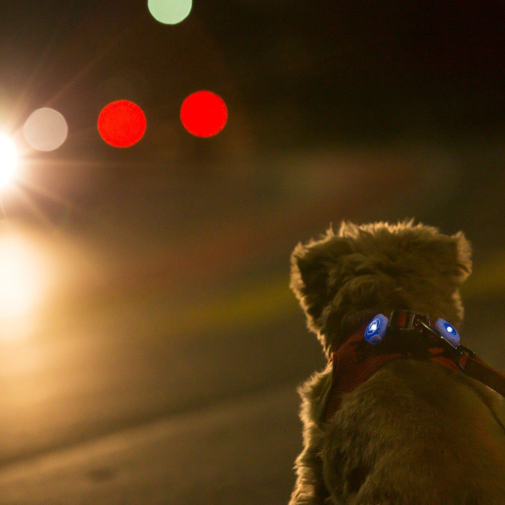 Curli Luumi LED Safety Lights