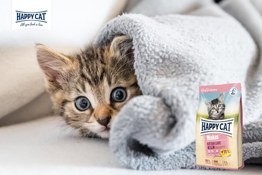 Happy Cat Minkas Kitten Care