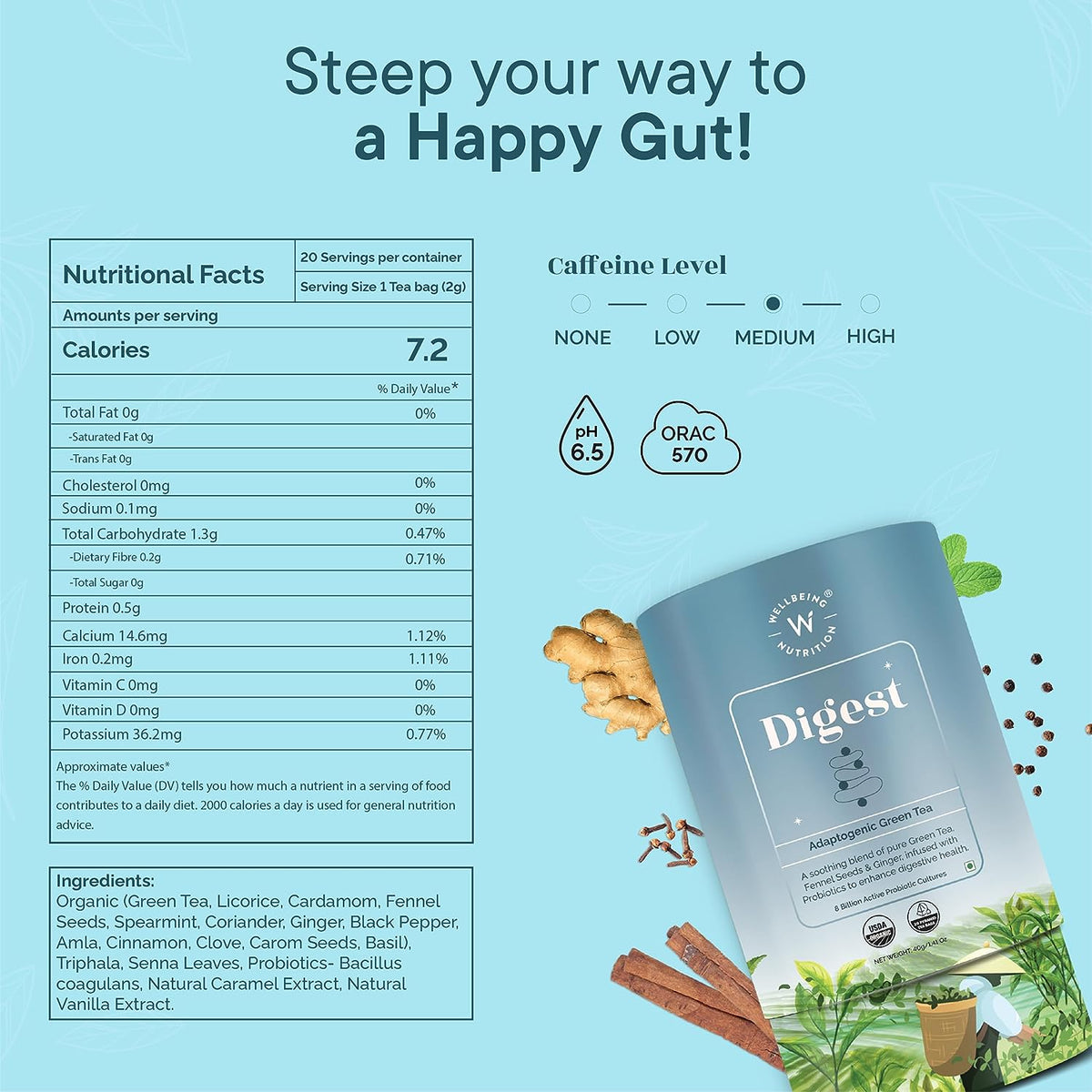 Wellbeing Nutrition Digest Green Tea (20 Pyramid Tea Bags)