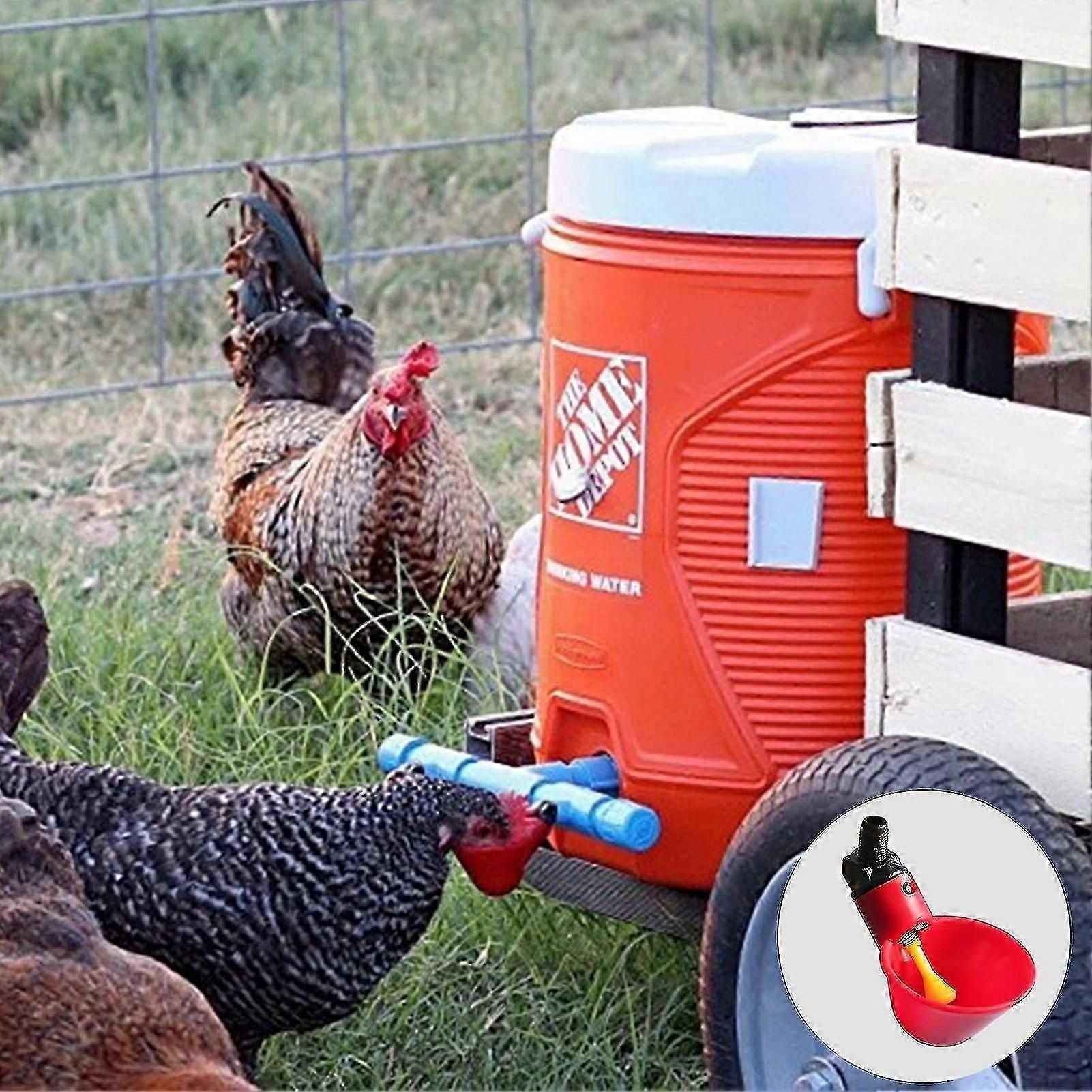 10pcs Water Bowl High Capacity No-spill Plastic Tomatic Animal Drinking Feeder For Chicken
