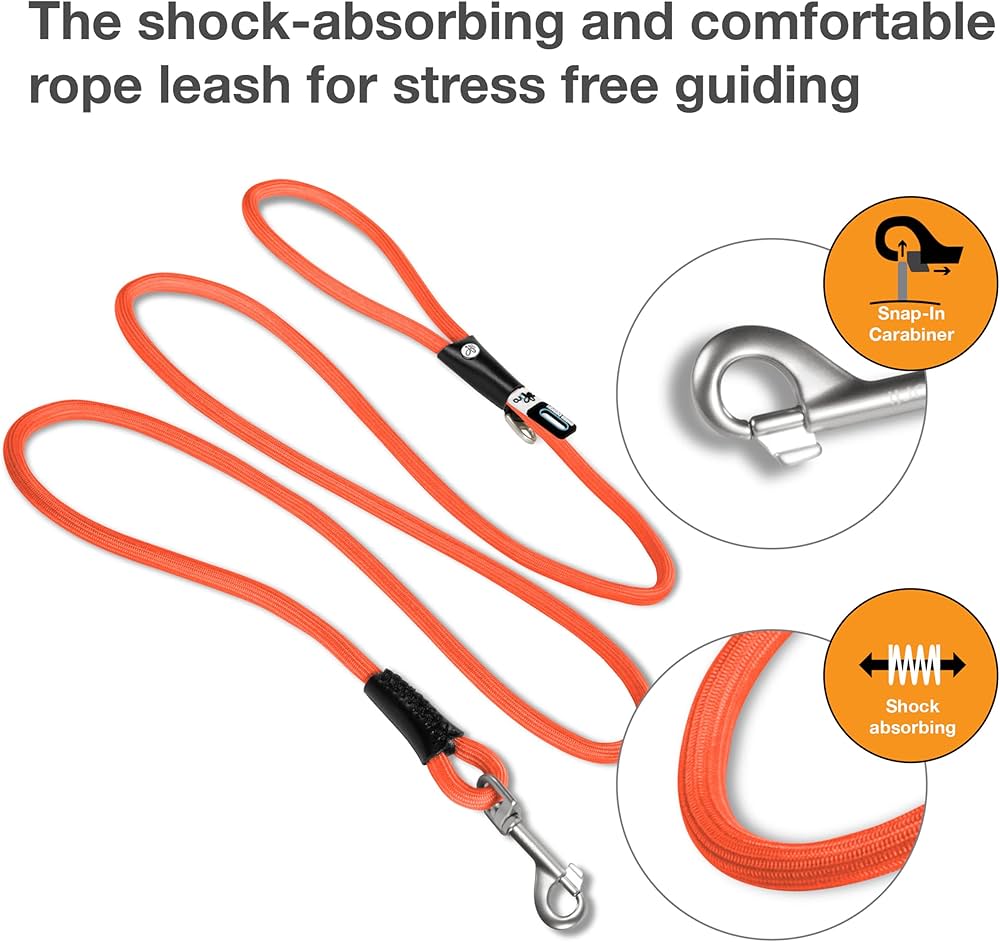 Curli Stretch Comfort Leash for Dogs - Medium