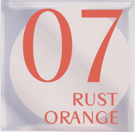 Exowhite Cushion Blush 4ml Baby Bright (M) 07 Rust Orange