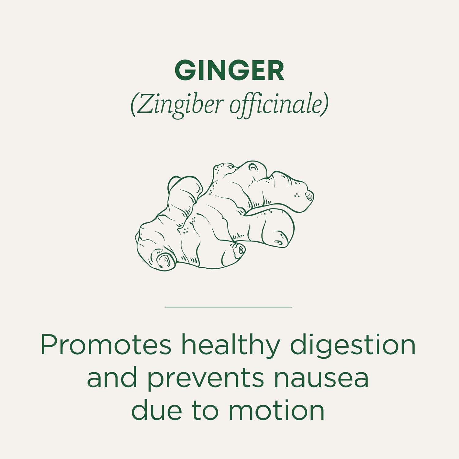 Traditional Medicinal Ginger, 16 Teabags
