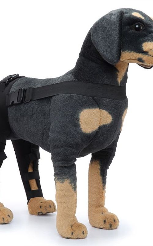 Dog Hind Leg Elbow Joint Protection Belt For Heals Sprains Protects Wounds