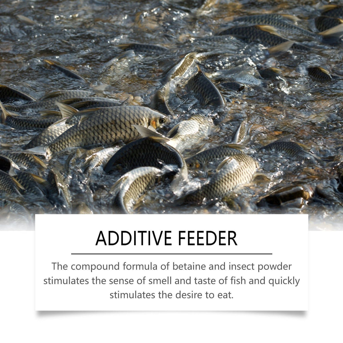 Decoy Bait Feeder, Fish Attractor for Carp, Freshwater, Easy to Use ,100ml
