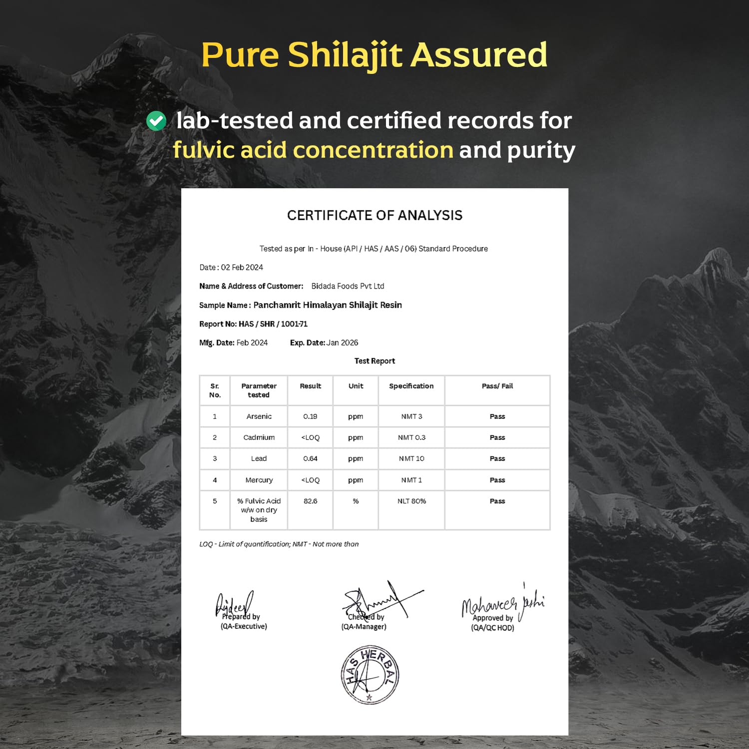 Panchamrit Himalayan Shudh Shilajit Resin 20g