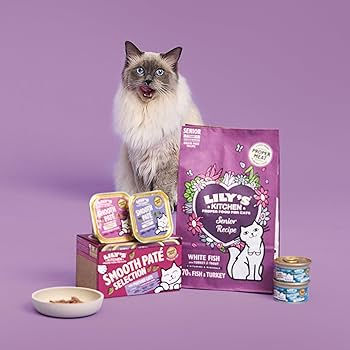 Lily's Kitchen Senior Recipe White Fish with Turkey & Trout Dry Cat Food 800gms