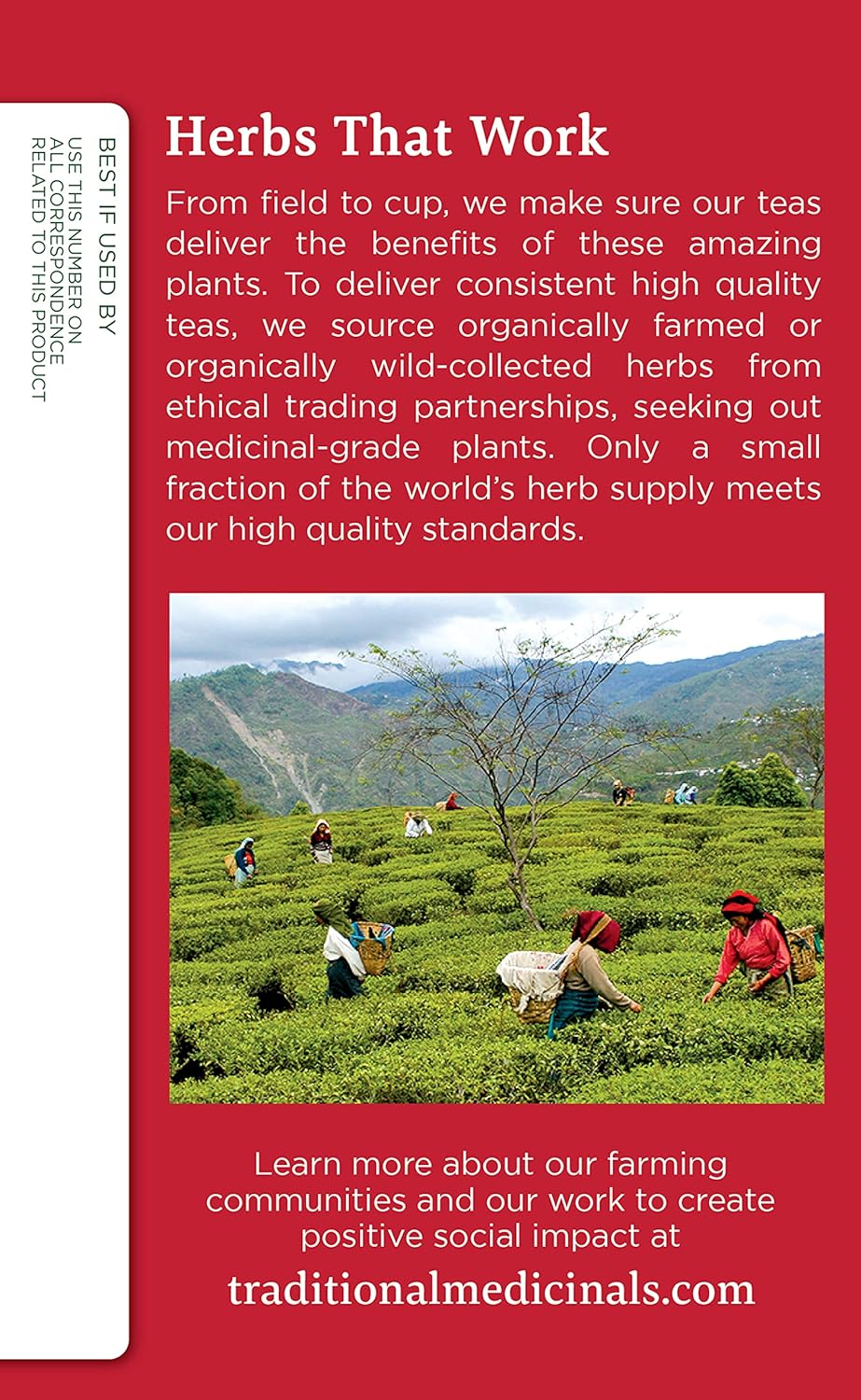 Traditional Medicinal Echinacea Plus, 16 Teabags