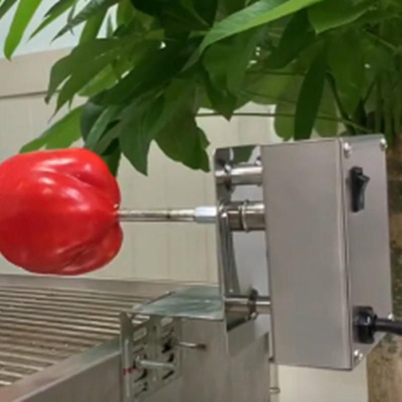 Electric BBQ Rotisserie Motor For Grill Spit Rotation