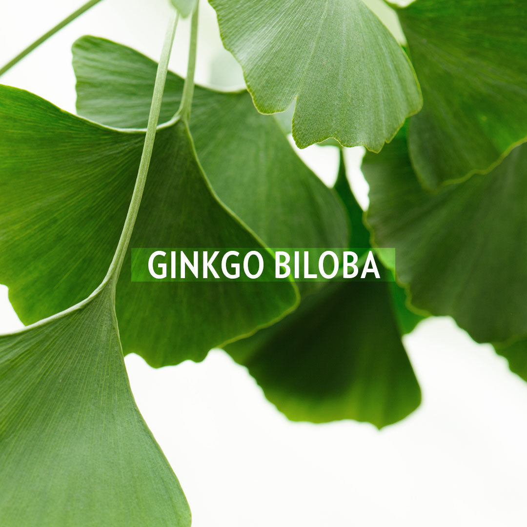 Glynt DERMA Ginkgo Energeticum 100 ml
