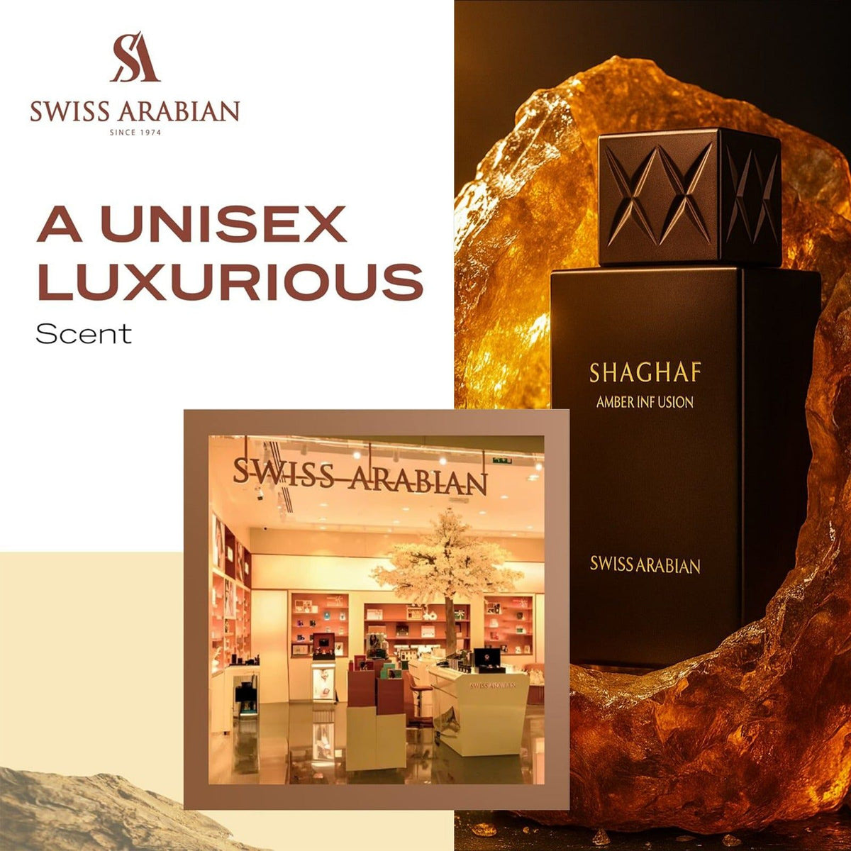 SHAGHAF AMBER INFUSION