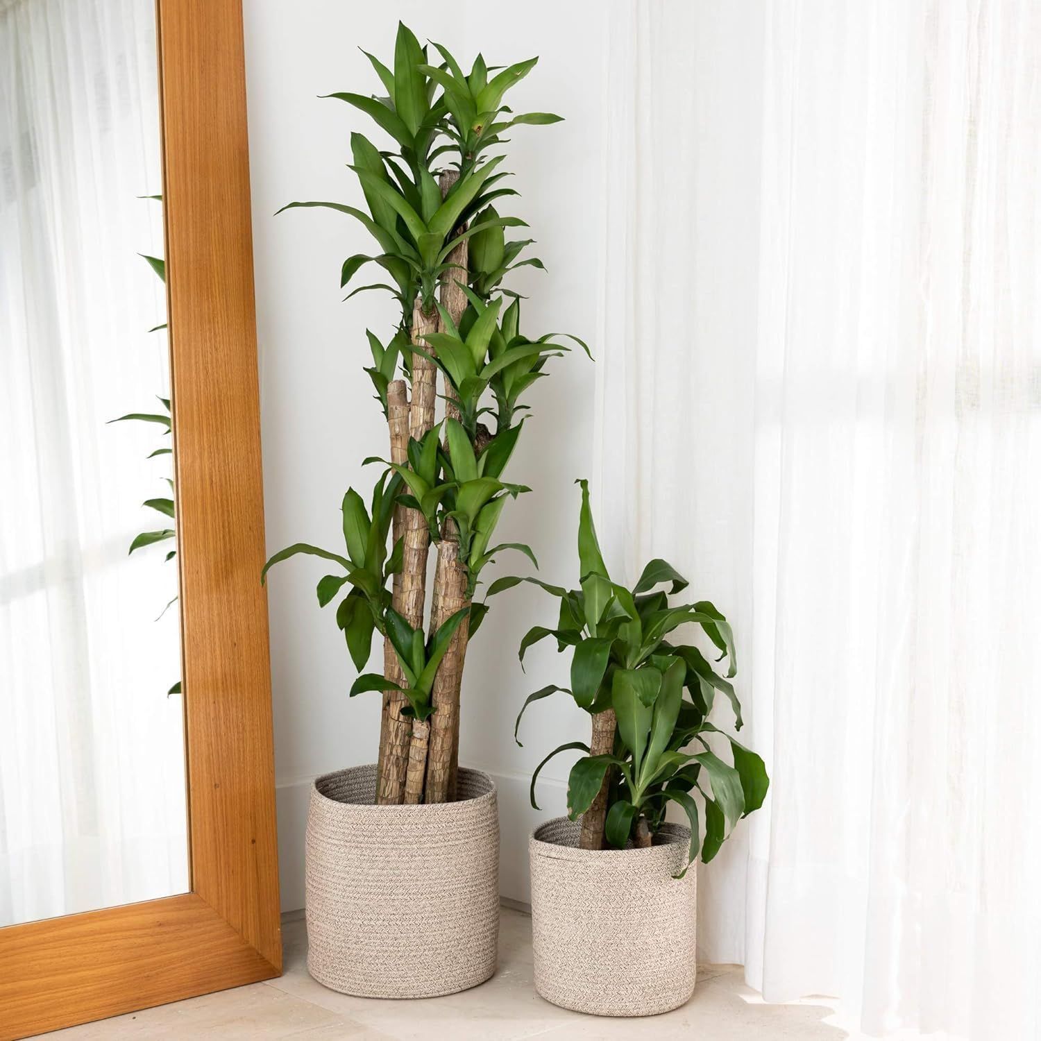 AIESY® Beautiful Indoor Jute Cotton Rope Plant Hanging Basket
