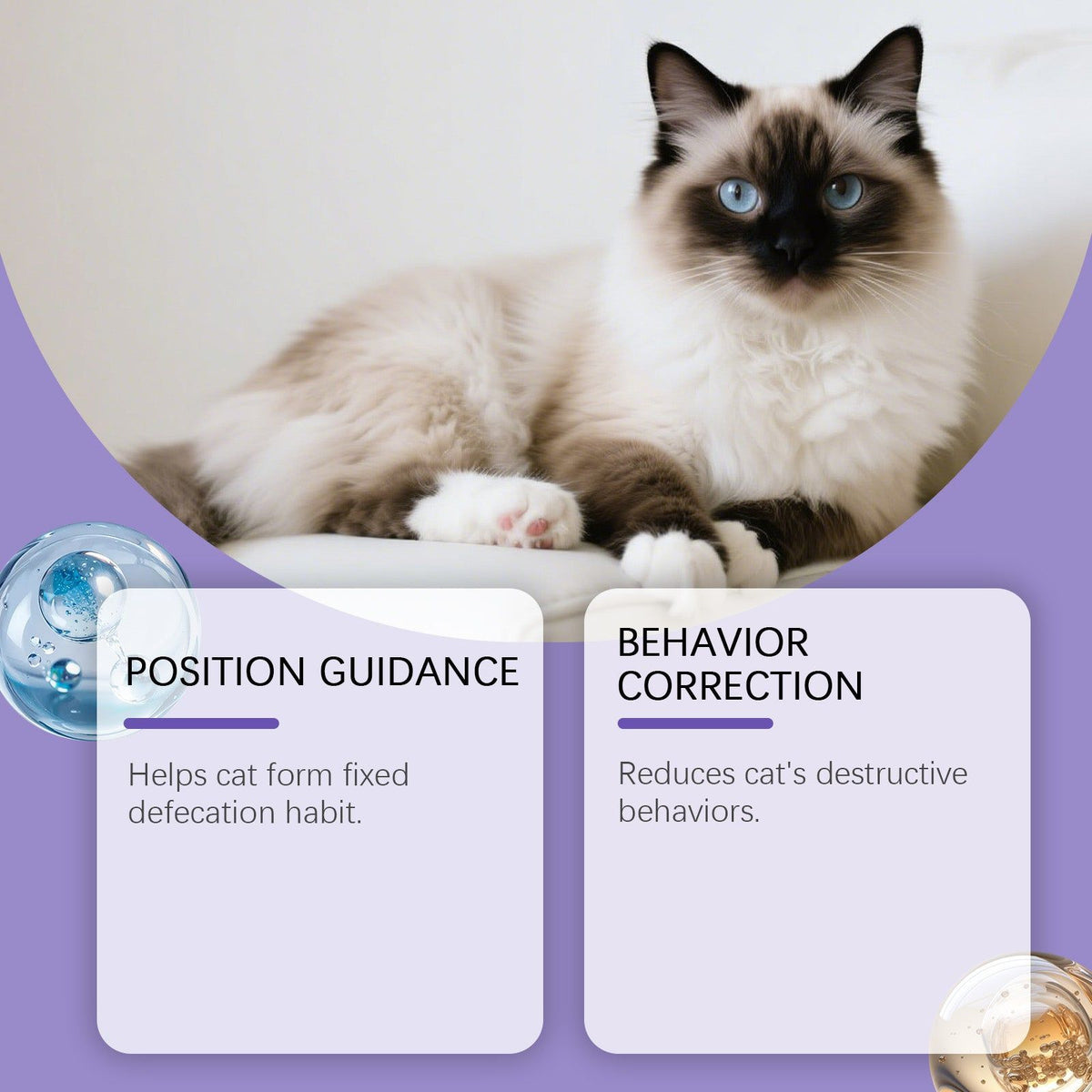 Cat Training Spray, Pet Behavior Corrector, Dog and Cat Supplies, Eliminate Destructive Habits ,60ml
