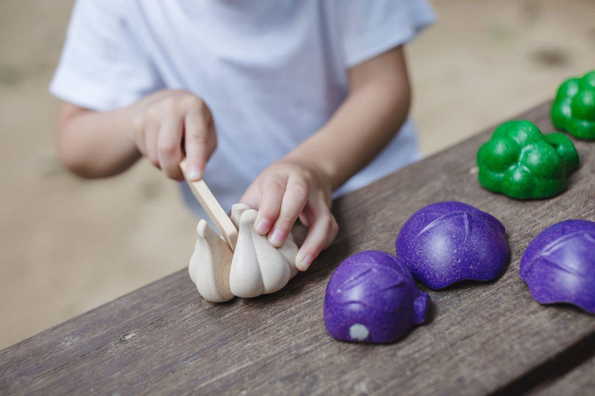 PlanToys 5 Colors Veggie Set — Wooden Pretend Play Food