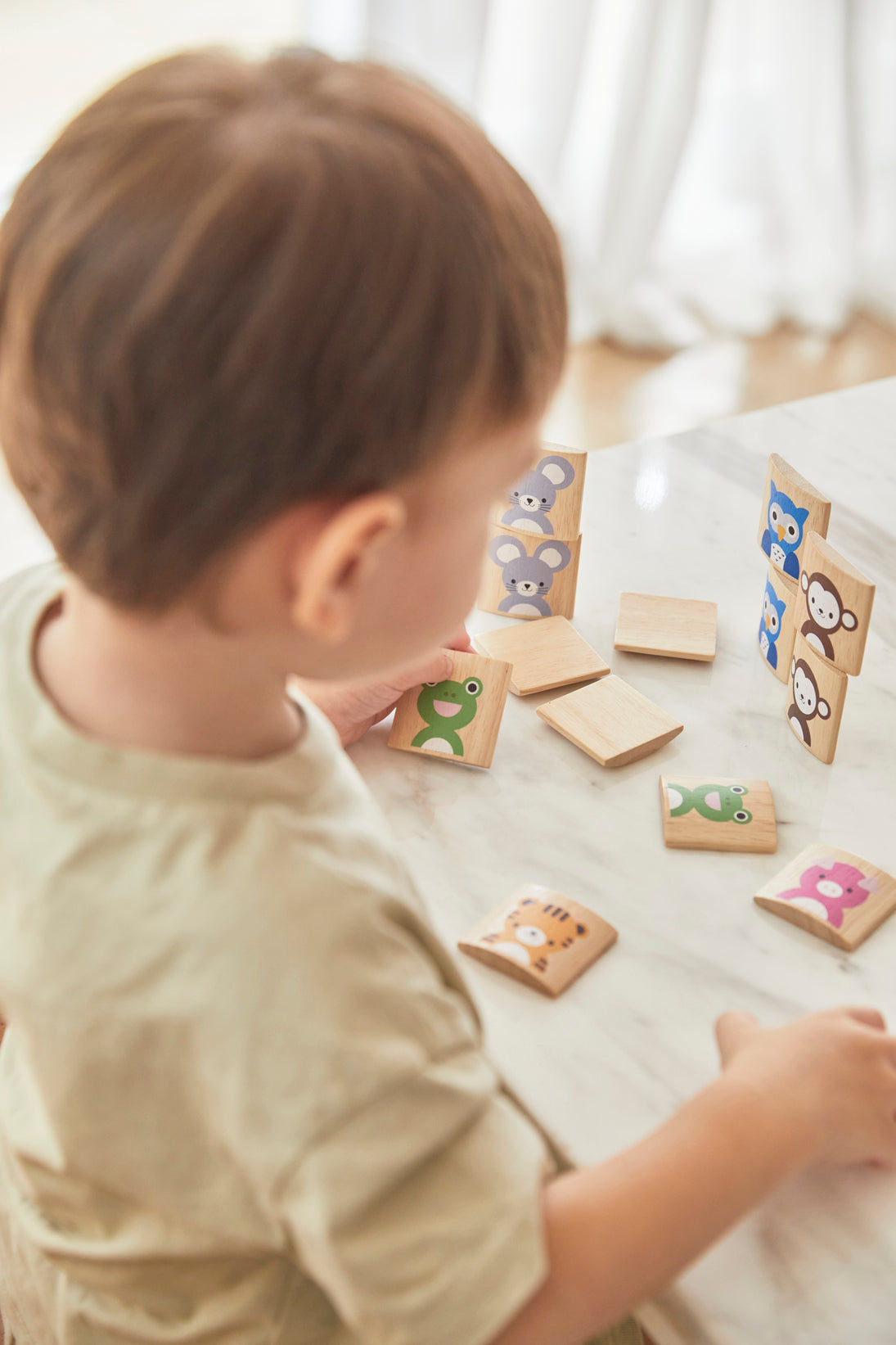 PlanToys Animals Memo