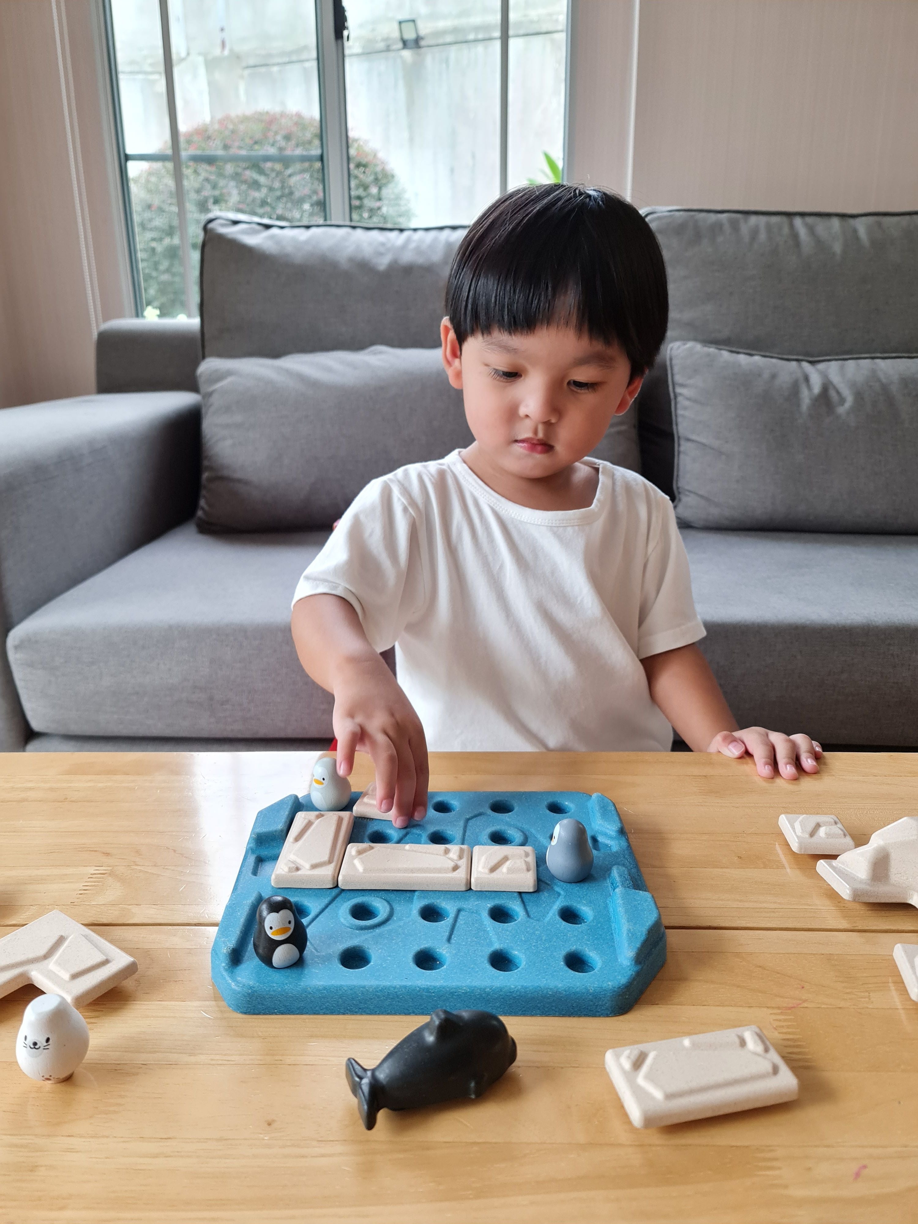 PlanToys Finding Penguin Game