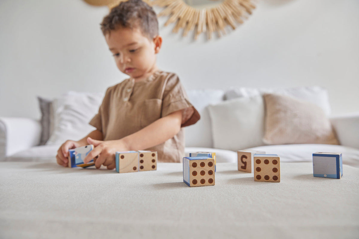 PlanToys Animal Puzzle Cubes