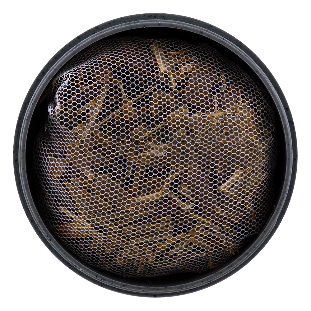 Scented Herbs 20g Reunrom Beyond Chill