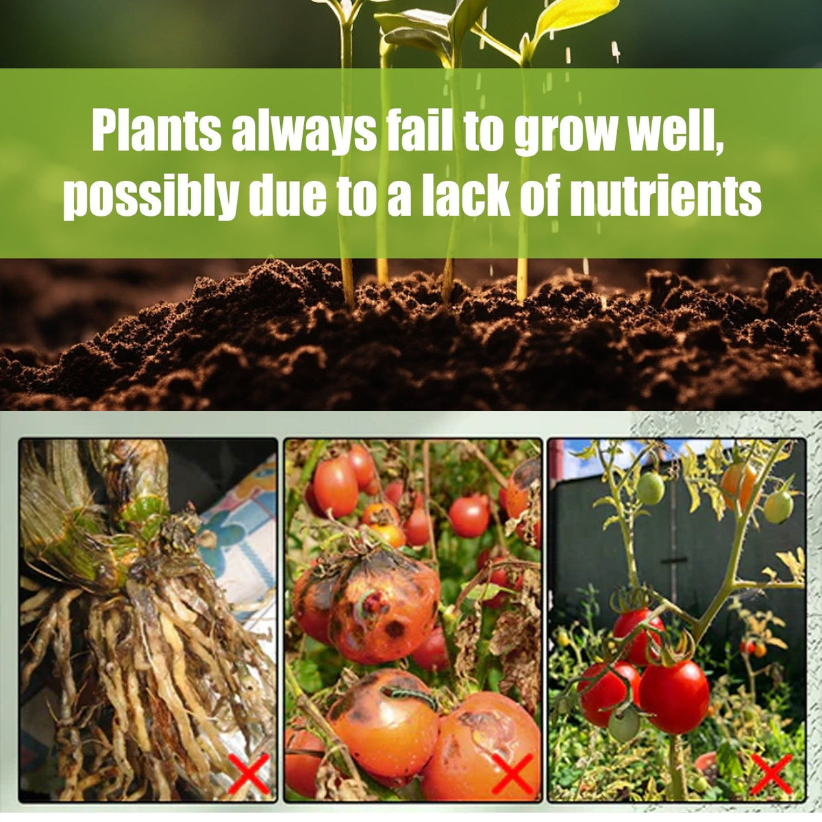 Boost Plant Growth with Activity Stick, Fast Root Nutrition, Garden Fertilizer ,18pieces