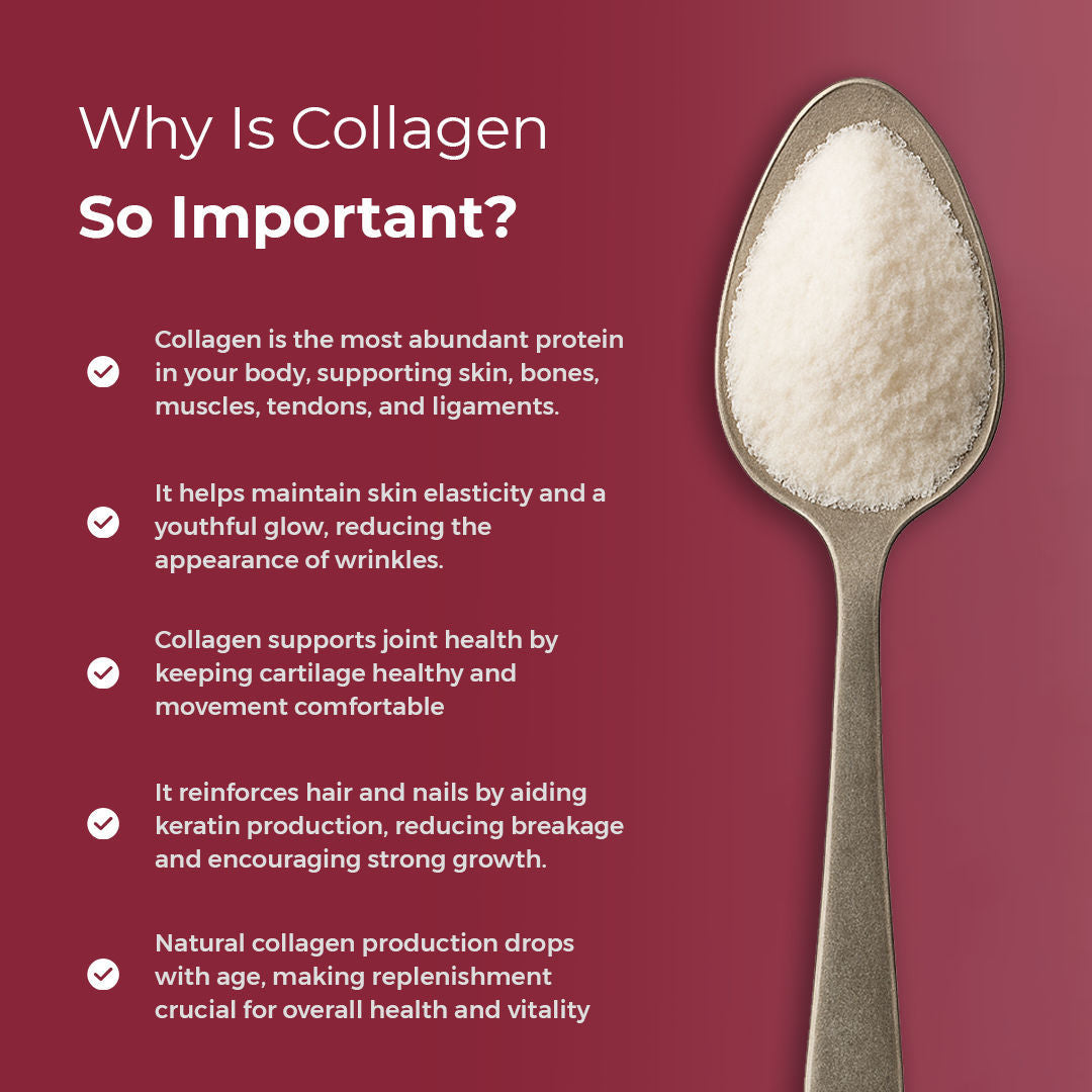 Hi Nutrition collagen+ powder 198g