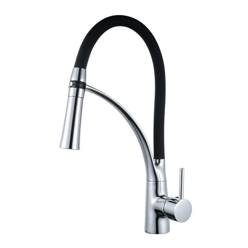 Kitchen Pull-out Faucet