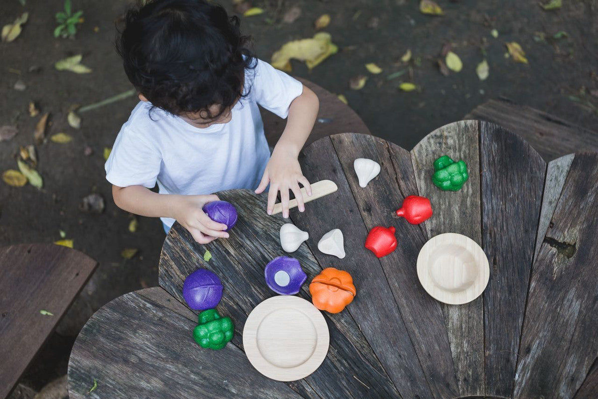 PlanToys 5 Colors Veggie Set — Wooden Pretend Play Food