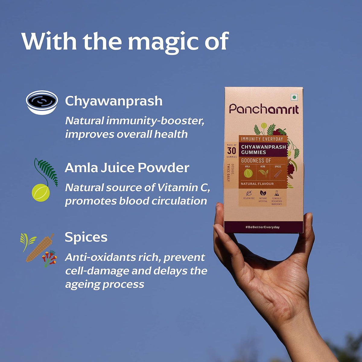 Panchamrit 100% Natural Chyawanprash Gummies 30 Gummies (Pack of 2)