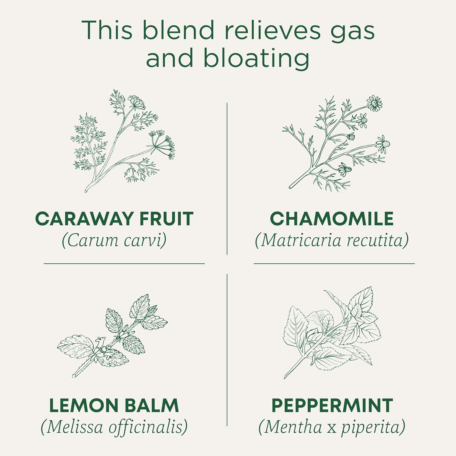 Traditional Medicinal Gas Relief, 16 Teabags