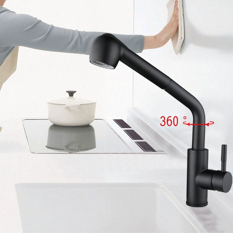 Stainless Steel Kitchen Sink Pull-out Faucet Sink Pull-out Faucet