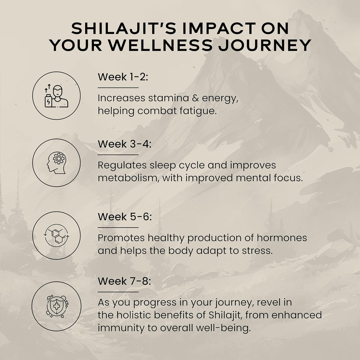 Wellbeing Nutrition Pure & Natural Himalayan Shilajit Original Resin 20g Pack of 2