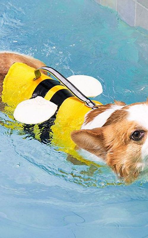 Dog Life Jacket Pet Float Coat Safety Vest Summer Dog Swimming Clothes Lifesaver