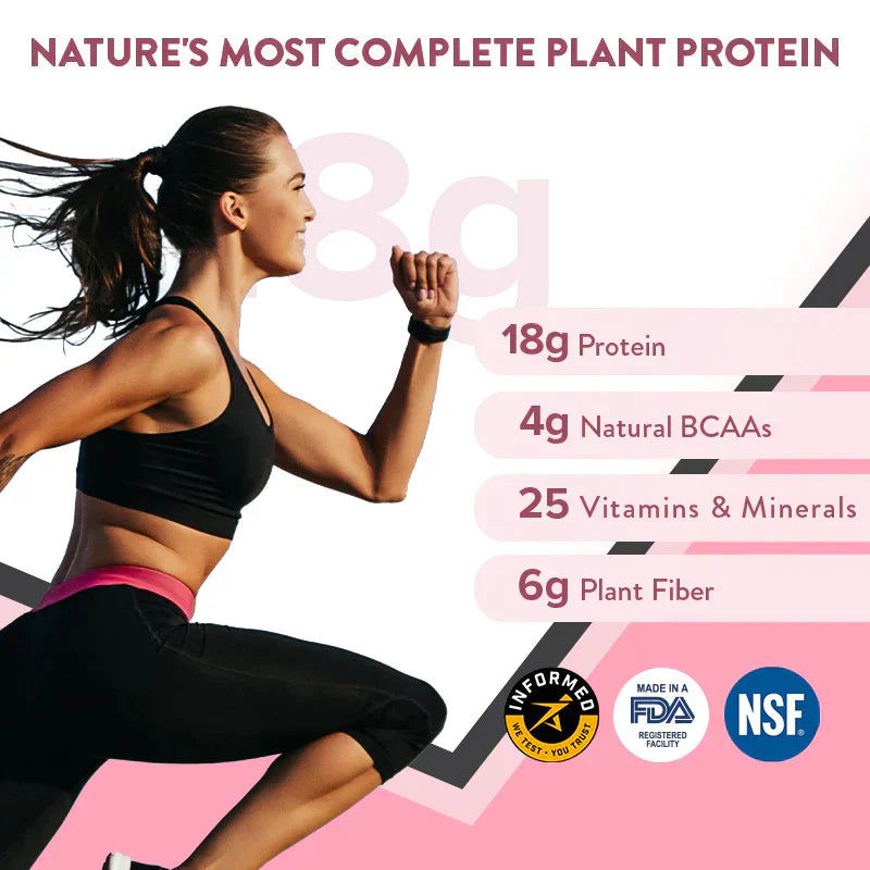 Well Being Nutrition Superfood Plant Protein Chocolate Peanut Butter and Daily Fiber Vanilla Berry Flavor